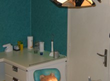 hannawa_dentiste