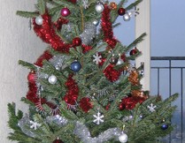 hannawa_noel