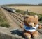 hannawa_tgv2
