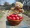hannawa_trudi_paques