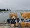 wpid-Avec-Boboshika-en-Bretagne