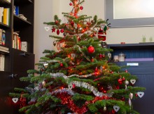 wpid-Sapin-de-Noel