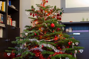 wpid-Sapin-de-Noel