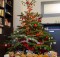 wpid-Sapin-de-Noel